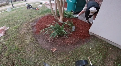 Xeriscaping Las Cruces NM - landscaper finishing a low-water planting bed with a spiky desert-style plant around a tree