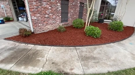 Landscaping Las Cruces NM - fresh red mulch flower bed with shrubs and curved concrete edging