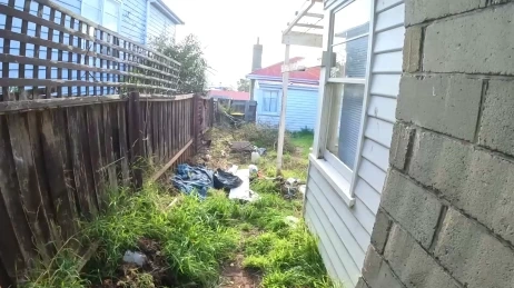 Yard cleanup Las Cruces NM - overgrown side yard with weeds and debris before a cleanup