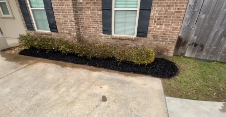 Low-maintenance shrub border with dark mulch along a brick home