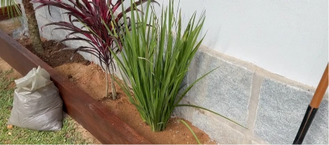 New planting bed along a white wall with red cordyline, ornamental grasses and timber edging