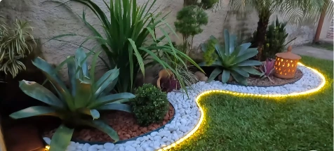 Curved garden bed edged with LED landscape lighting around agaves and palms