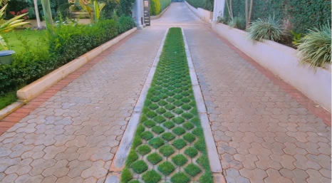 Paver driveway with a grass-filled center strip of turf block pavers