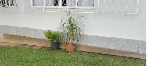Bare strip of lawn along a white house wall before landscaping
