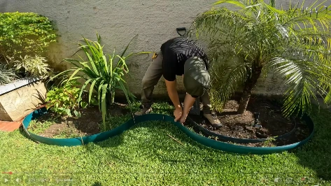 Landscaper installing curved green landscape edging around a new planting bed