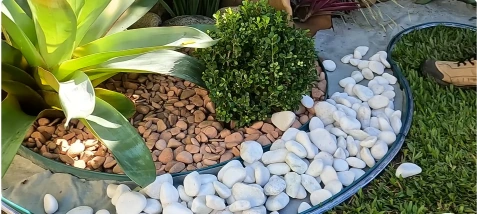 Agave and round shrub bordered by white river rock and dark edging in a lawn